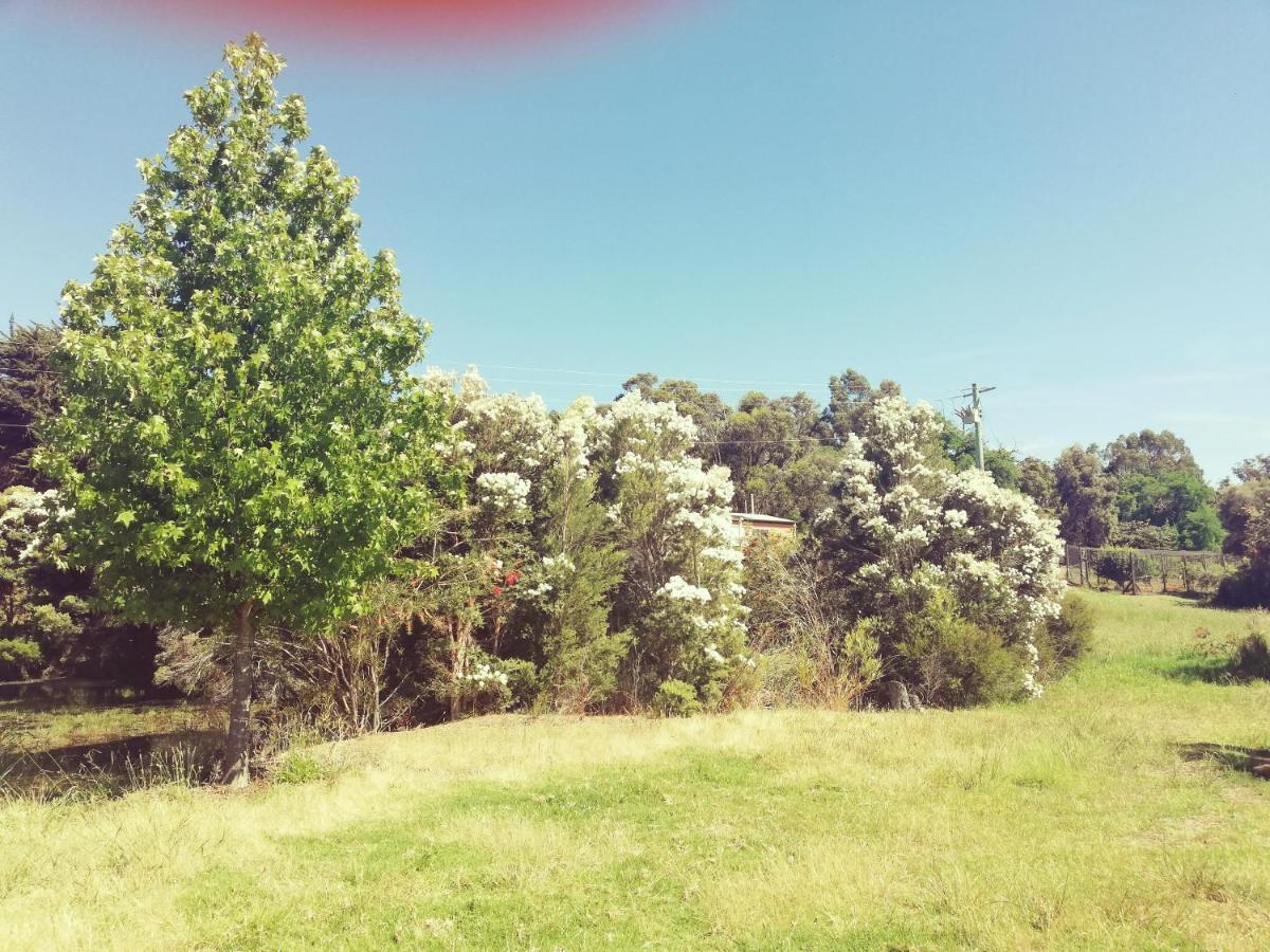 Woodlands Of Balingup Bush Cottages Eksteriør billede